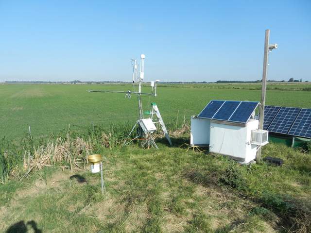 View of site