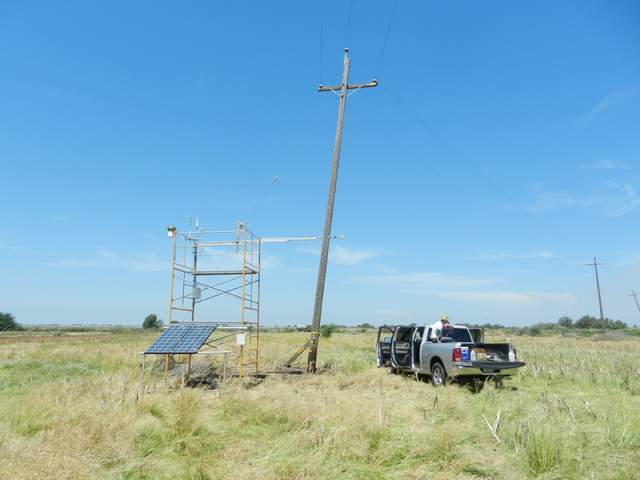 Temporary location during wetland construction