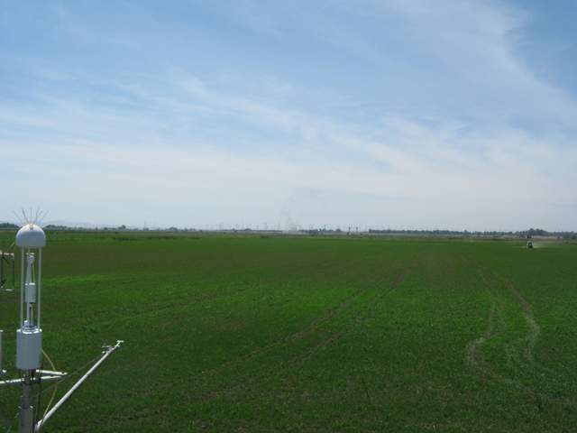 Tractor spraying the field