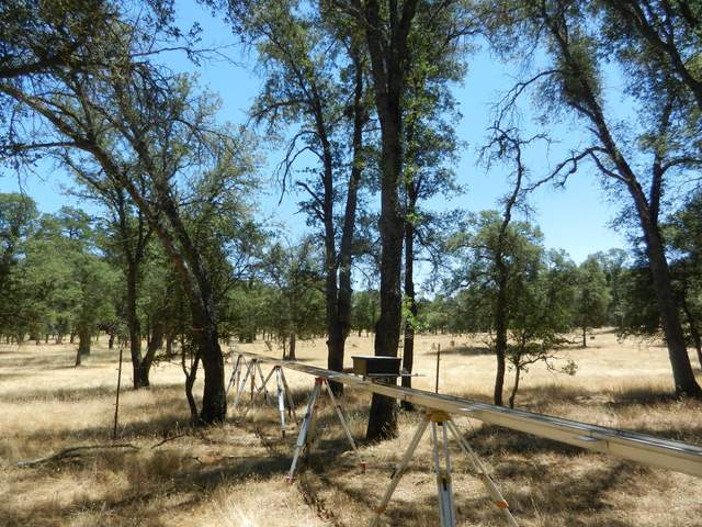 New location for radiometer tram track in the oak woodland