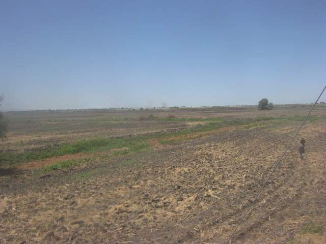 visiting site