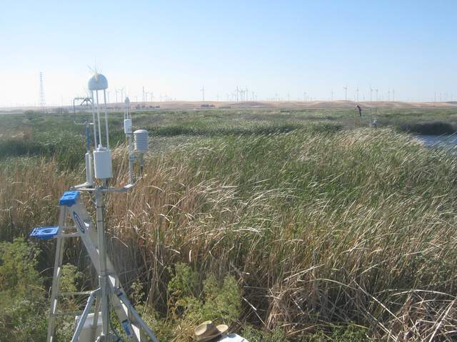 Fieldwork