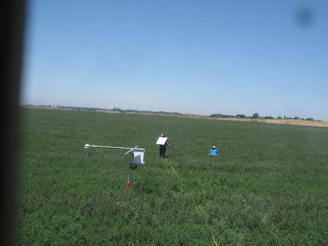 Fieldwork