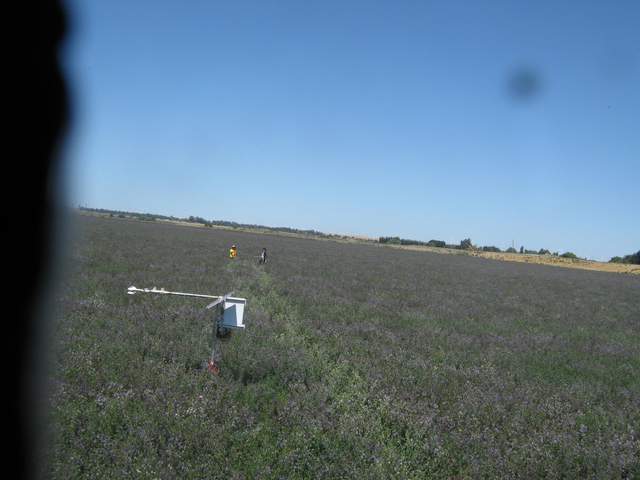 Laying out transect