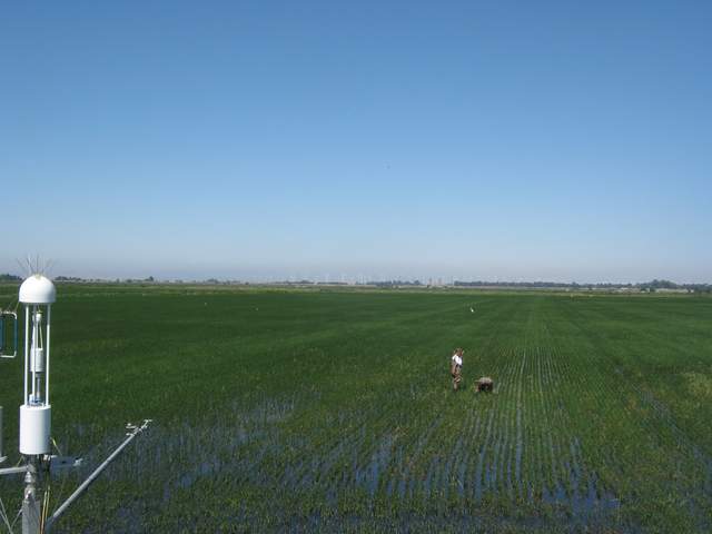 Fieldwork