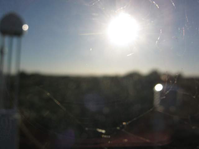 Spiderwebs