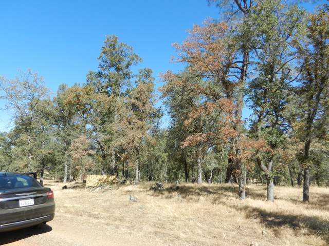 Dead and dying trees