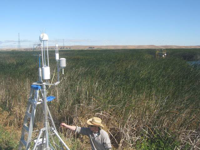 Fieldwork