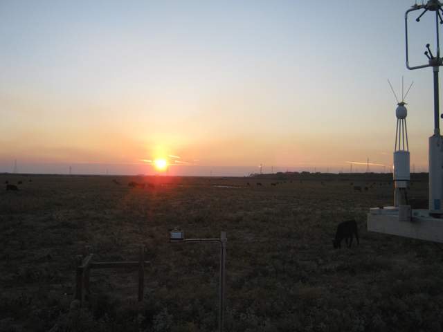 Nice sunset