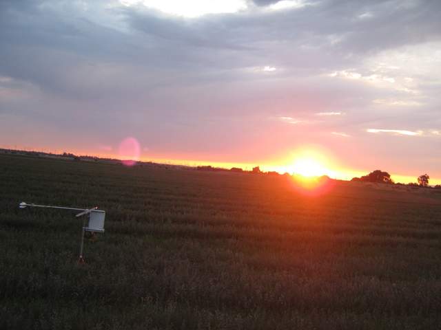 Nice sunset