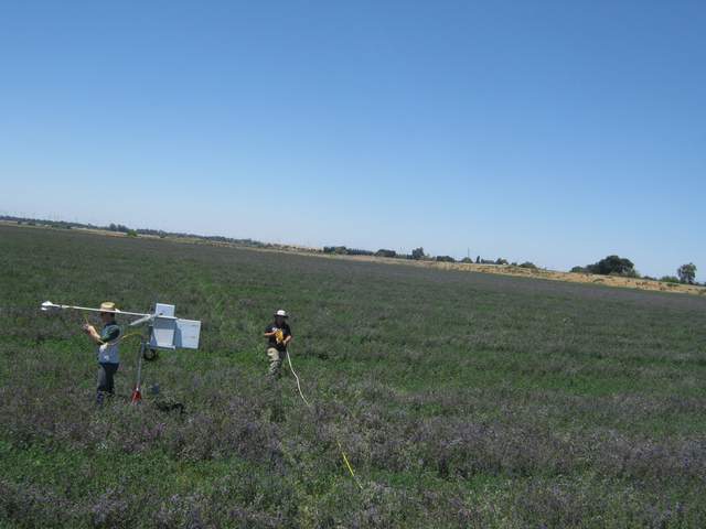 Fieldwork