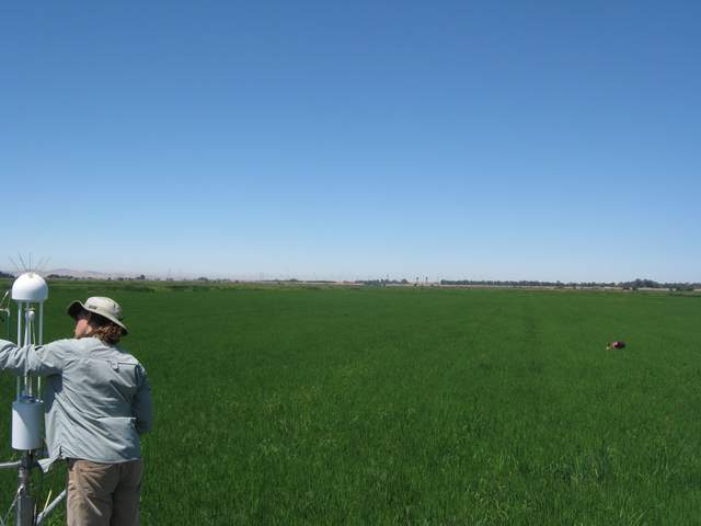 Fieldwork