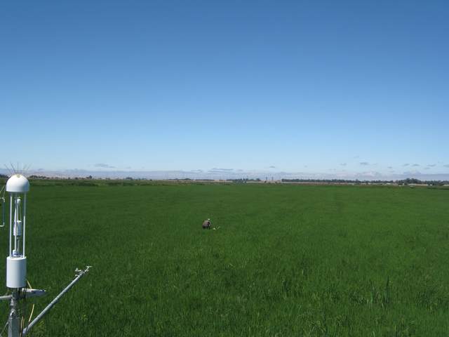 Fieldwork