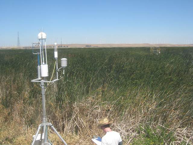 Fieldwork