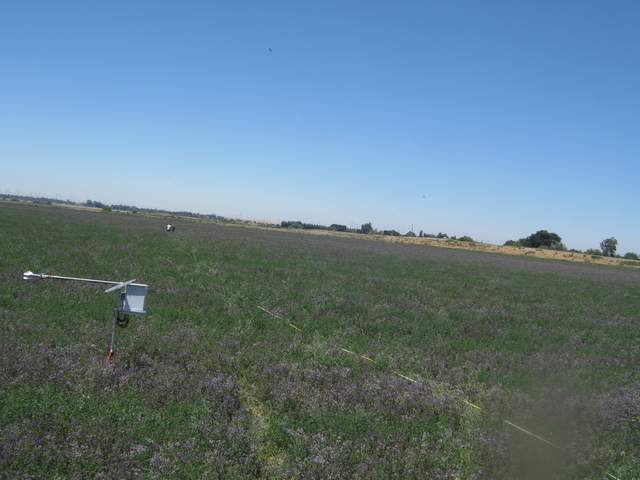 Fieldwork