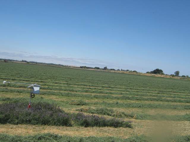 End mowing