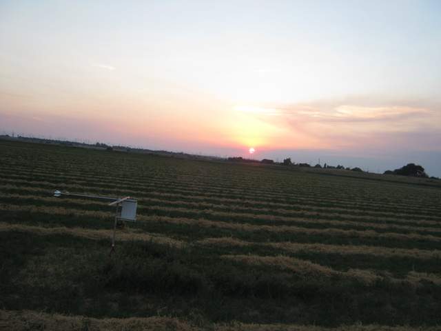 Nice sunset