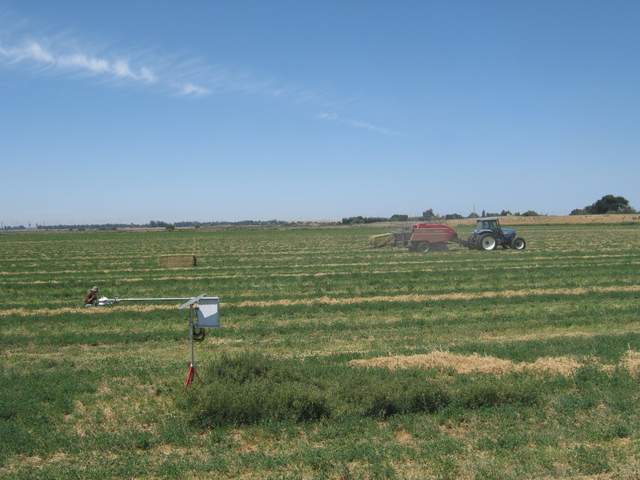 baling, fieldwork