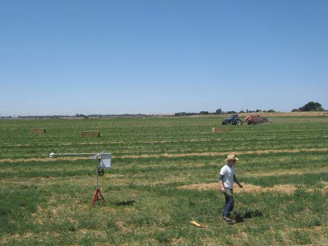 Baling, fieldwork