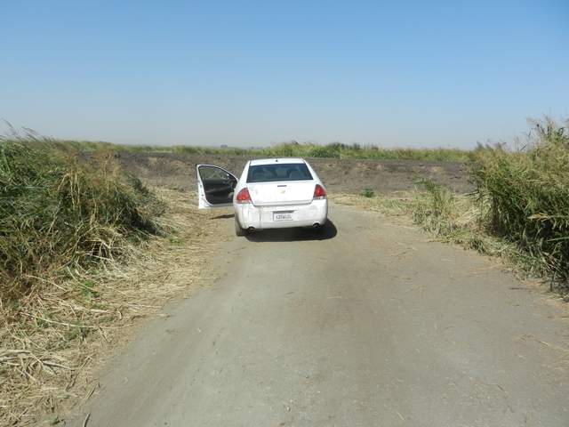 End of the road at East End wetland construction