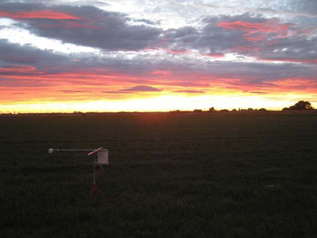 Nice sunset