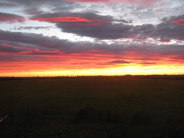 Nice sunset