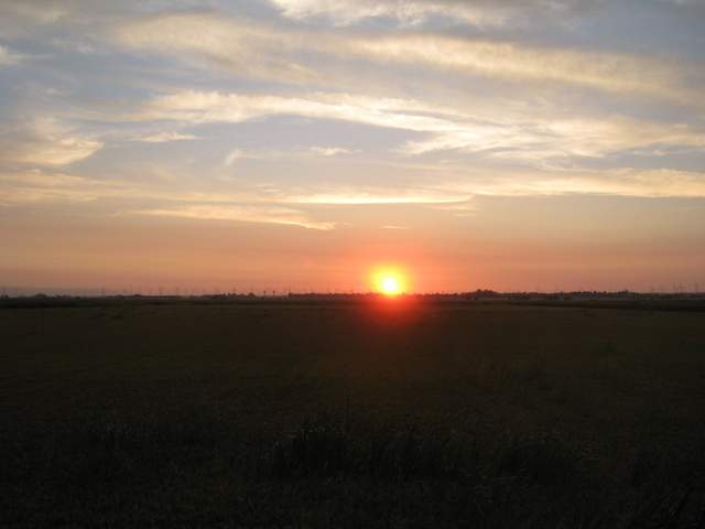 Nice sinset