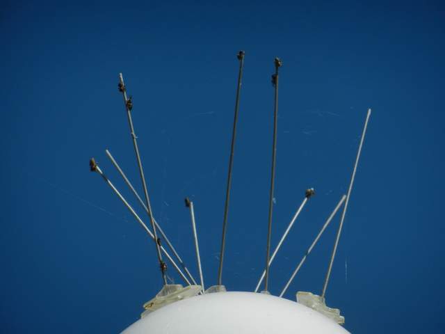 Tiny spiders ballooning off of the bird spikes