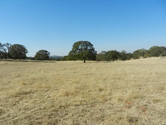 Site