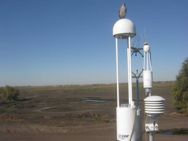 Bird on 7700