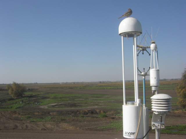 Bird on 7700