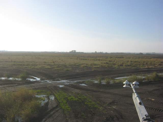 First photo at new site