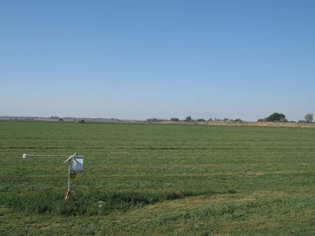mowing