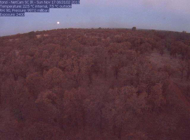 Dawn moon