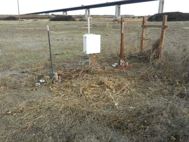 Litter cleared and soil co2 sensors installed