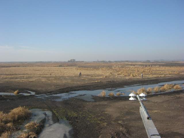Soil sampling