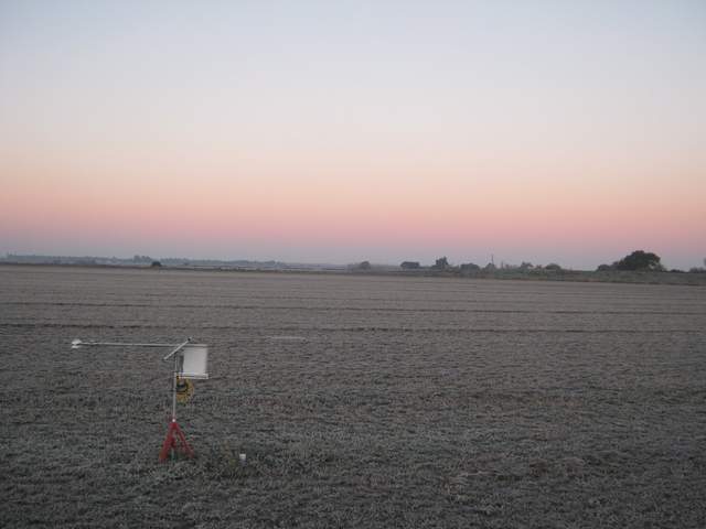 Frost on the ground