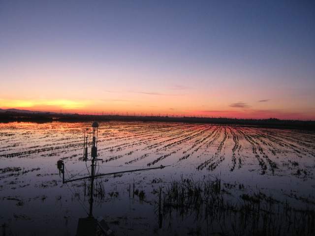 nice sunset