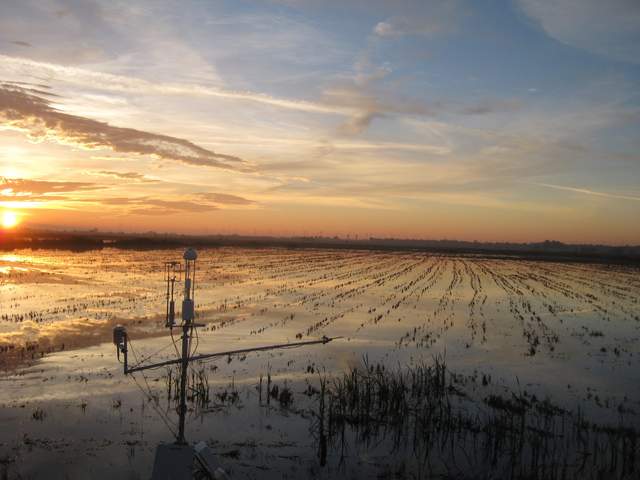 Nice sunset