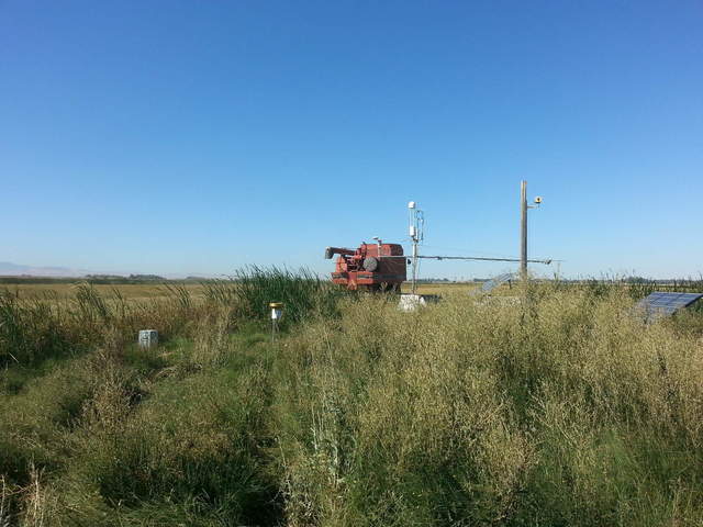 Harvest