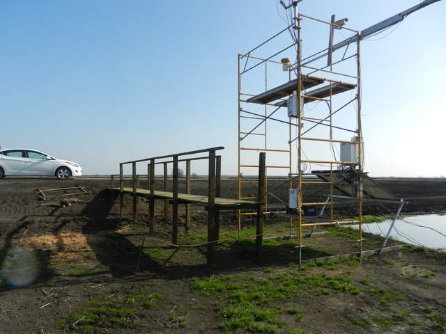 The new boardwalks have been built. 4x4 post driven into the ground with 2x12 planking for a deck and a 2x4 railing