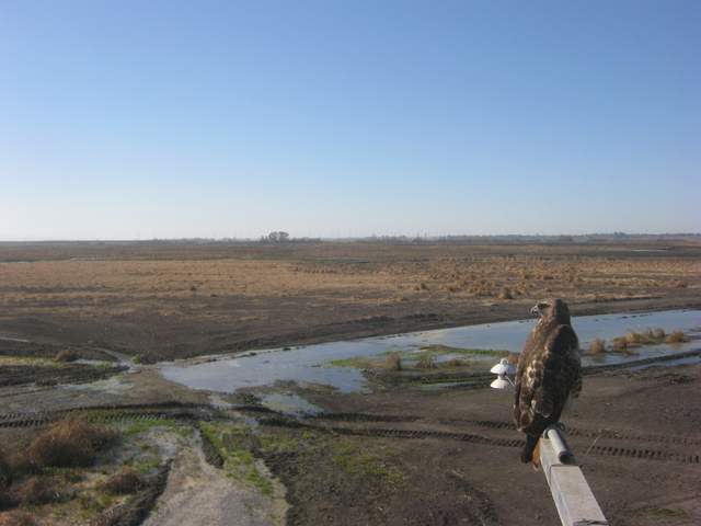 view of field site