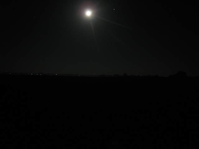 Predawn moon