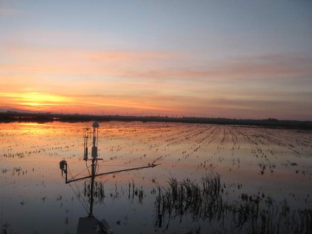 Nice sunset