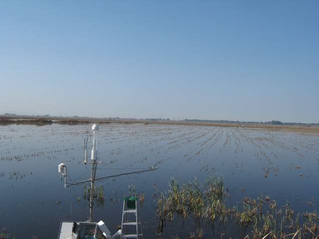 site visit