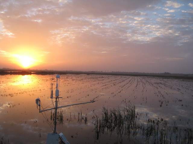 nice Sunset