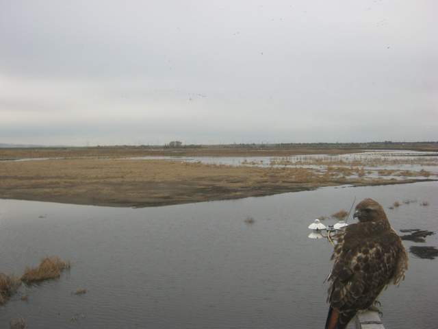view of field site
