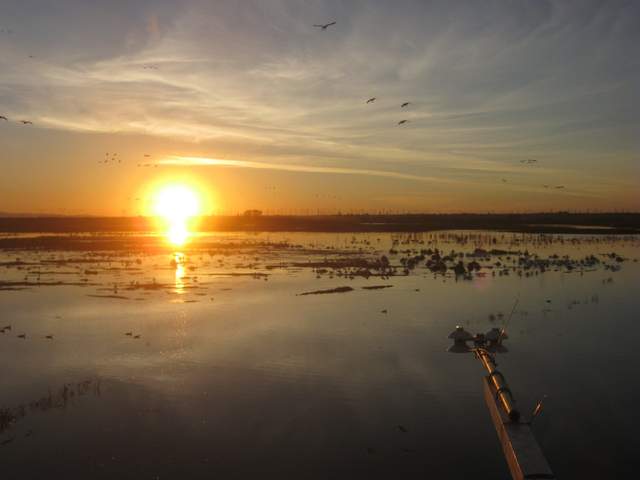 nice sunset