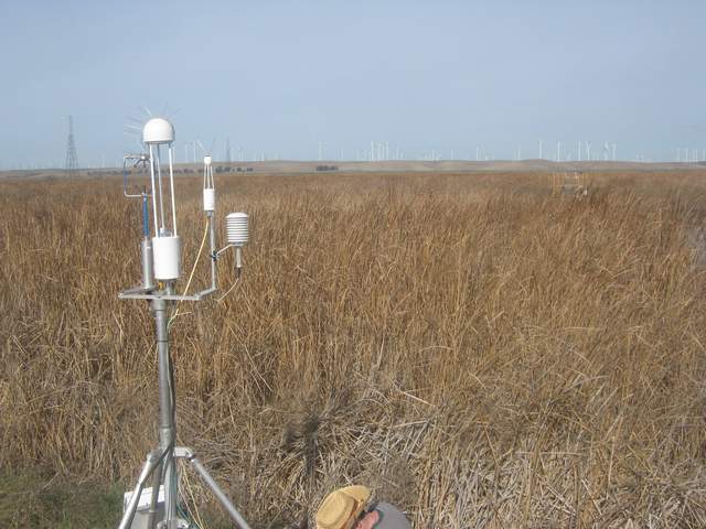 site visit