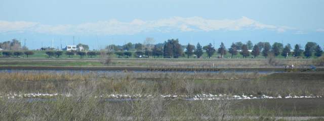 Snow in the Sierras from Twitchell